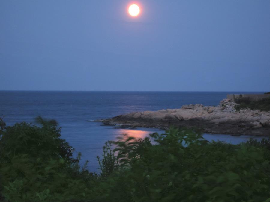 Seafarer Inn Rockport Eksteriør bilde